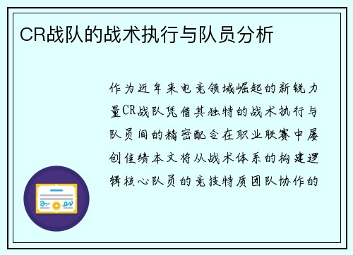 CR战队的战术执行与队员分析